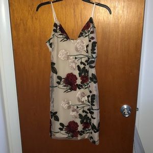 The very cute, fitted and sheer dress.